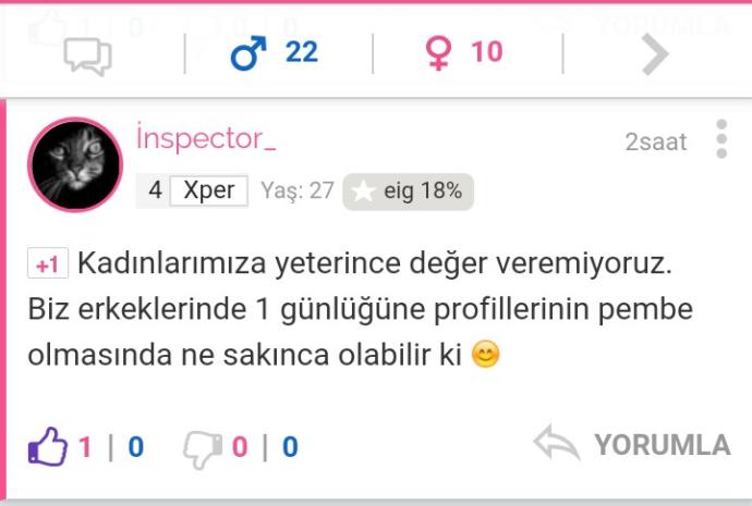 Erkek Üyelerin Profilleri Pembeleşince Sitede Oluşan Curcunadan En Güzel Kareler