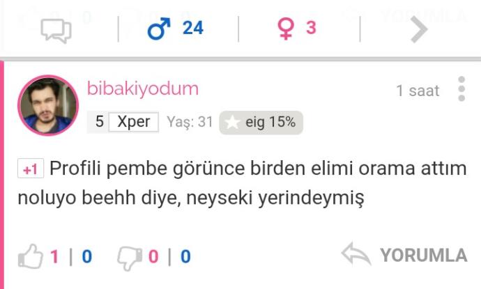 Erkek Üyelerin Profilleri Pembeleşince Sitede Oluşan Curcunadan En Güzel Kareler