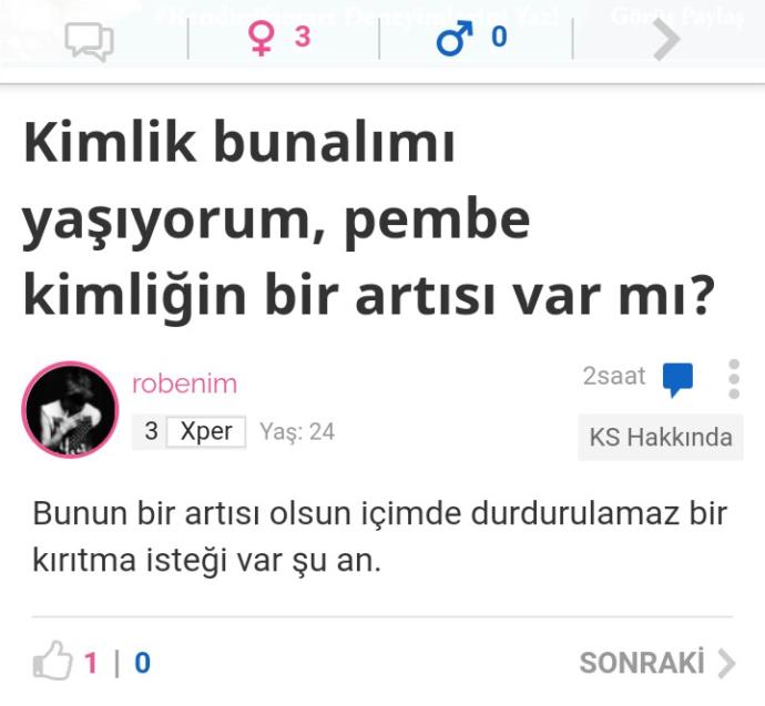 Erkek Üyelerin Profilleri Pembeleşince Sitede Oluşan Curcunadan En Güzel Kareler