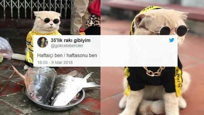 "Hafta Sonu Ben" Hashtagi İle Atılmış Komik Tweetler!