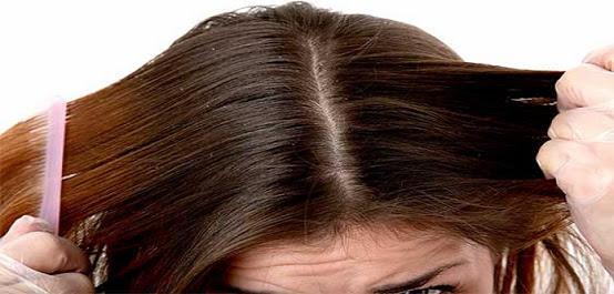 Limonun Mucizevi Güzellik Sırları Nelerdir?