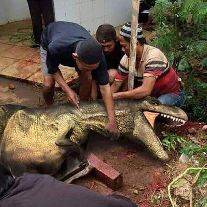 Türkiye'de Jurassic Park Açılsaydı Neler Olurdu?