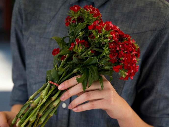 Sadece Romantik Olmayan İnsanların Anlayabileceği Davranışlar Nelerdir?