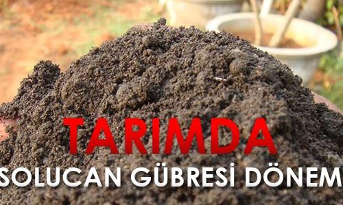 Kendi İşinizin Patronu Nasıl Olabilirsiniz?