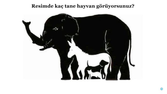 Bu Test Stalk Yapmaya Benzemez! Dikkat Gerektiren Bu Testleri Çözebilecek Misiniz?