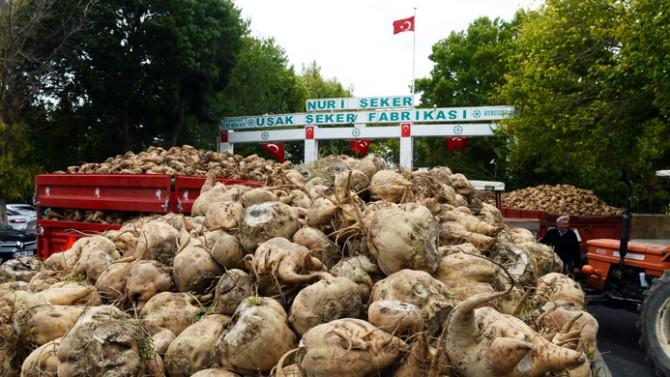 Türkiye'nin Gıda Politikaları ve Vuku Bulan Hastalıklar Arasındaki İlişki