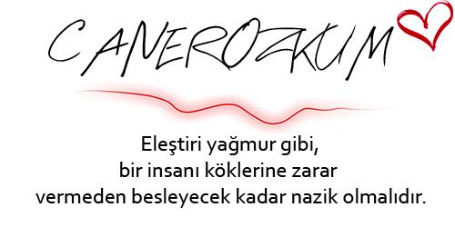 Ağva'yı Geziyorum: Bir Günüm Nasıl Geçti?