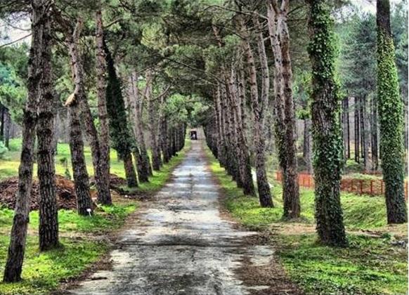 Aşıklar Şehri İstanbul'da Huzur Bulacağınız Yerler!