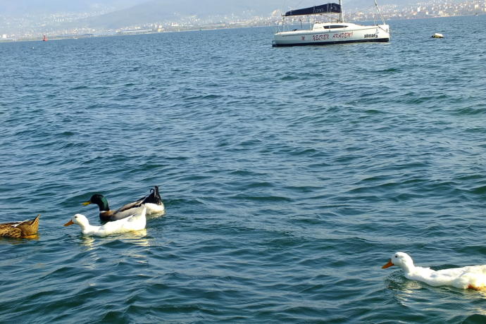 İstanbul'un Yanı Başındaki Harikalar Sahili'ni Geziyoruz