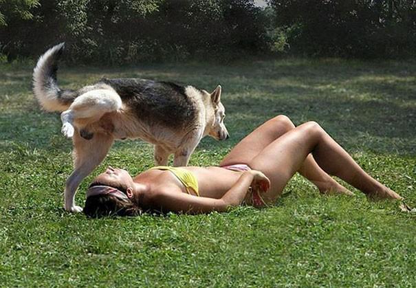 Mükemmel Zamanlamayla Yakalanmış Birbirinden Güzel ve Eğlenceli Fotoğraflar!