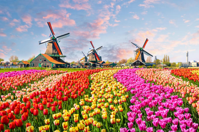 Avrupa'nın Çılgın Çocuğu Amsterdam İle Tanışın!