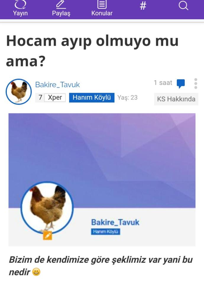 1 Nisan'da Şakalanan KizlarSoruyor Üyelerinin Dünyayı Sorgulama Şekilleri