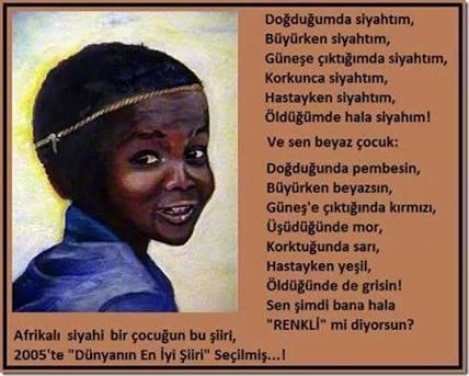 Renkleri Kapkara, Yürekleri Kar Beyaz: İçimizdeki Afrikalılar Afro Türkler! 