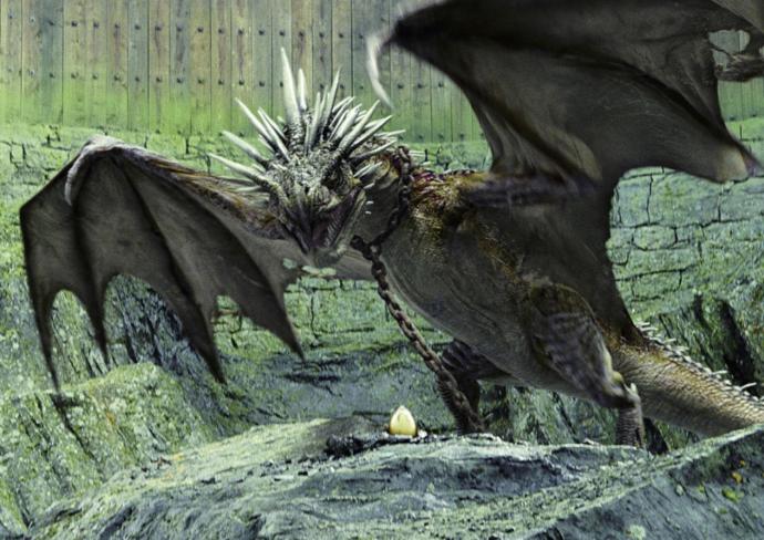 Harry Potter Serisindeki Ejderha Türleri Ve Özellikleri Nelerdir?
