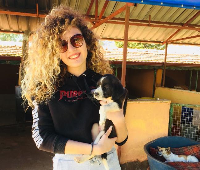 Tatilde Yapılabilecek En Güzel Aktivite: Barınak Ziyareti!