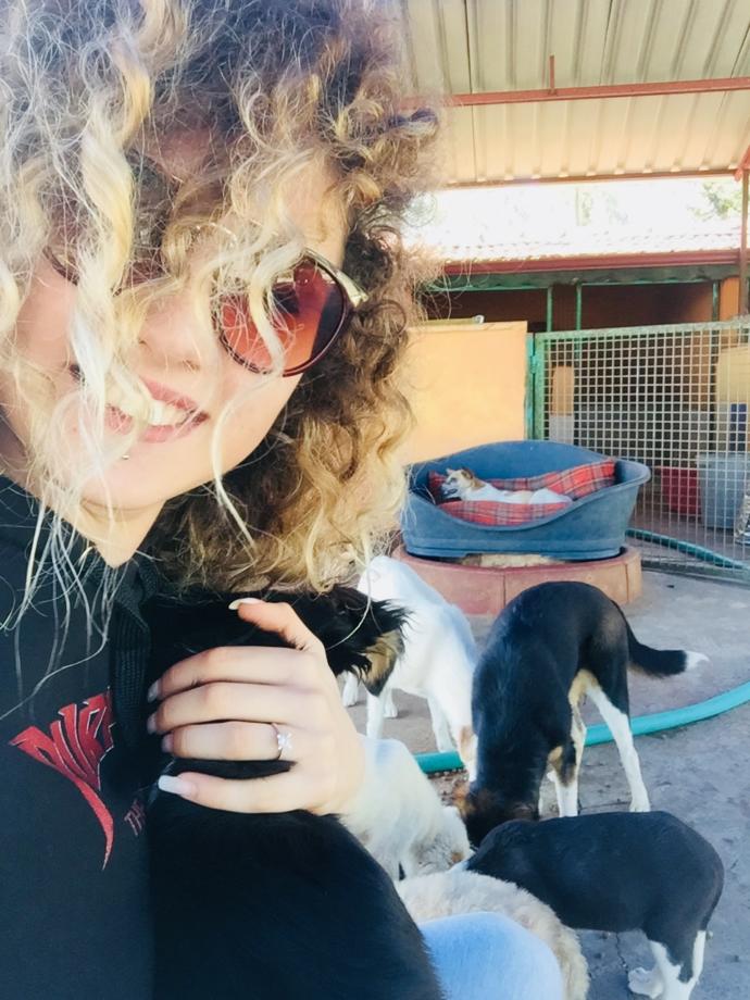 Tatilde Yapılabilecek En Güzel Aktivite: Barınak Ziyareti!