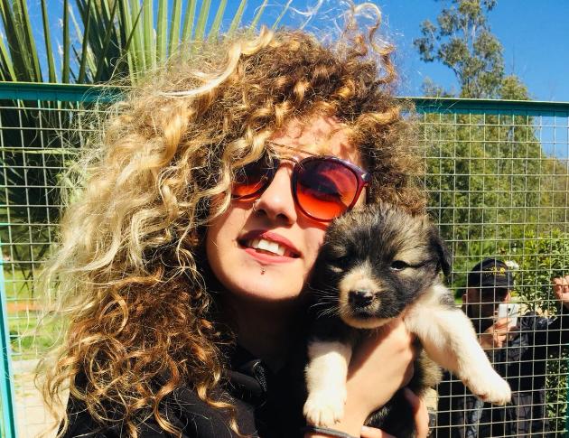 Tatilde Yapılabilecek En Güzel Aktivite: Barınak Ziyareti!