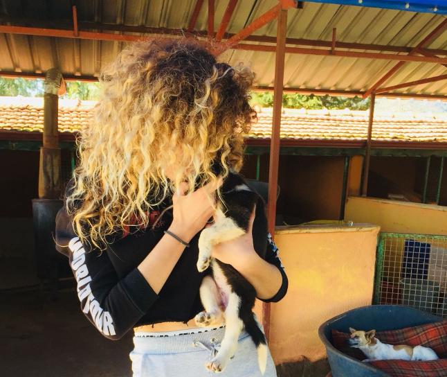 Tatilde Yapılabilecek En Güzel Aktivite: Barınak Ziyareti!