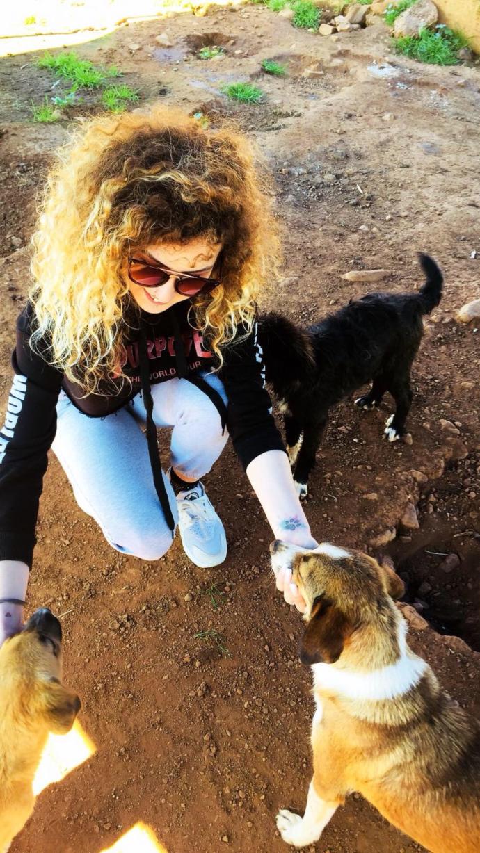 Tatilde Yapılabilecek En Güzel Aktivite: Barınak Ziyareti!