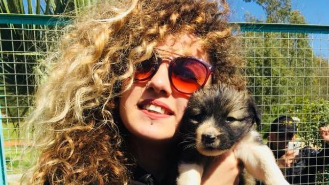 Tatilde Yapılabilecek En Güzel Aktivite: Barınak Ziyareti!
