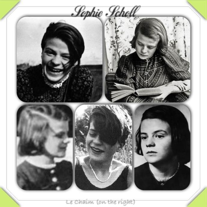Sophie Scholl ve Beyaz Gül