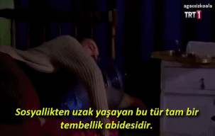 Kilo Almanızı Sağlayacak Tavsiyeler Nelerdir?