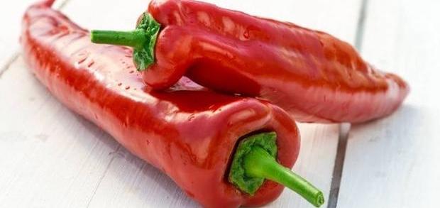Lorlu Kırmızı Biber Dolması Yapımı!