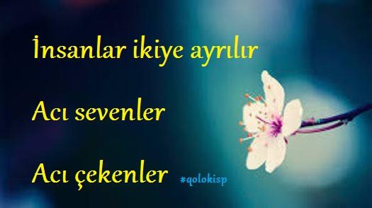 Hangi Düşünüre Göre, İnsanlar Kaça Ayrılır?