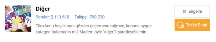 KizlarSoruyor Hakkında Daha Önce Hiç Duymadığınız 5 İlginç Bilgi!