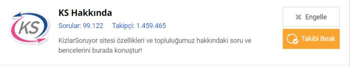 KizlarSoruyor Hakkında Daha Önce Hiç Duymadığınız 5 İlginç Bilgi!