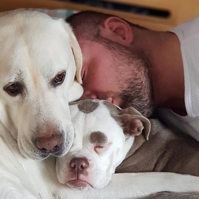 "Senin Tarlanı Kimler Yaktı?" Dedirten Bakışıyla Dünyanın En Üzgün Köpeğiyle Tanışın!