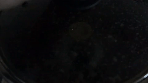 Güne Zinde ve Dinç Başlamak İçin Sağlıklı Kokteyl Nasıl Yapılır?