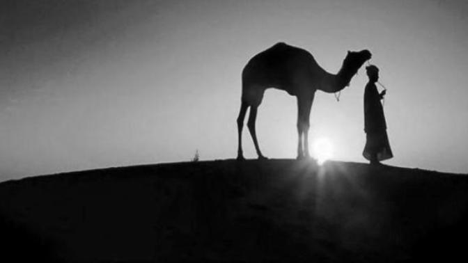 Yalnız Gezen, Yalnız Ölen Ve Yalnız Dirilecek Olan İslam'ın İlk Sosyalisti Ebu Zer Ve Üstün Kişiliği