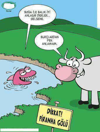 Burçların Hoşlandığı Kişiye Karşı Verdiği Sinyaller Nelerdir?