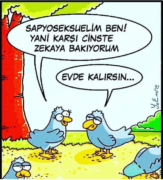 Sapyoseksüelliğin Tek Nedeni Başarısız Girişimlerle Dolu Bir Aşk Geçmişidir!