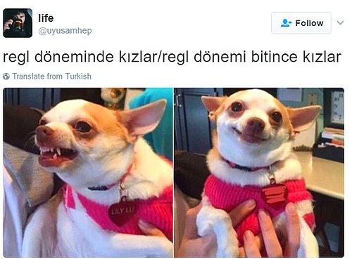 Regl Dönemini Attıkları Tweetler İle Gösteren Mizahşörler!
