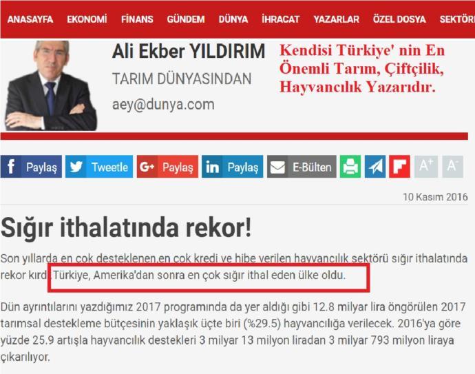 Bakkaldan Ekmeği Dövizle Mi Alıyorum, Banane Dövizden Düşüncesi Neden Yanlış