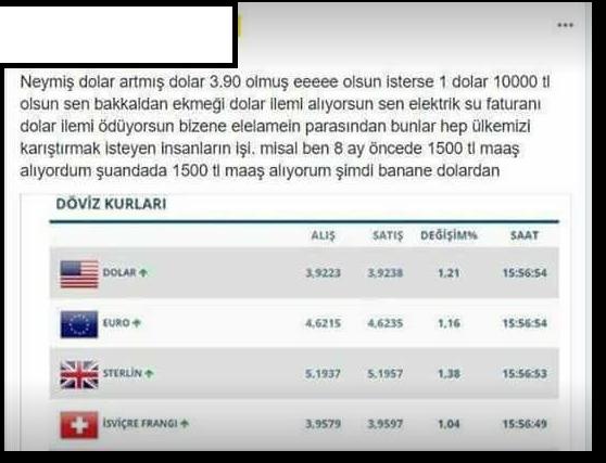 Bakkaldan Ekmeği Dövizle Mi Alıyorum, Banane Dövizden Düşüncesi Neden Yanlış