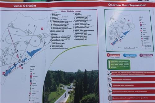 Benimle Birlikte Atatürk Arboretumu Gezisine Ne Dersin?