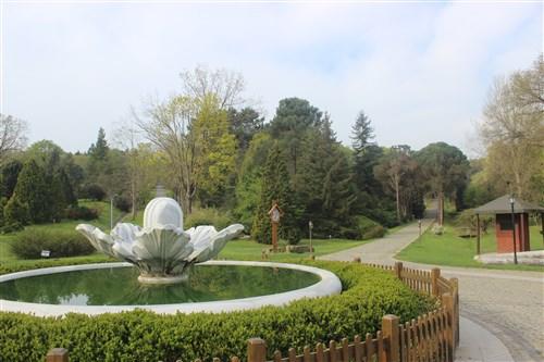 Benimle Birlikte Atatürk Arboretumu Gezisine Ne Dersin?