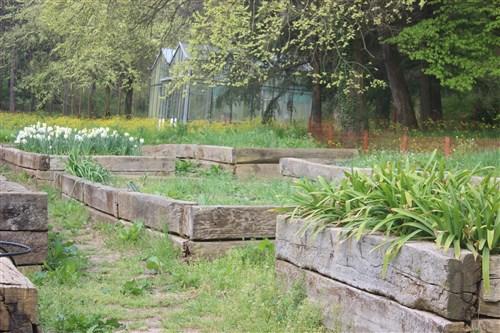 Benimle Birlikte Atatürk Arboretumu Gezisine Ne Dersin?
