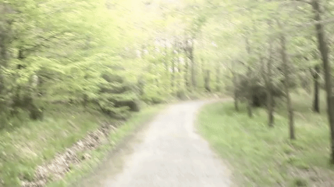 Benimle Birlikte Atatürk Arboretumu Gezisine Ne Dersin?