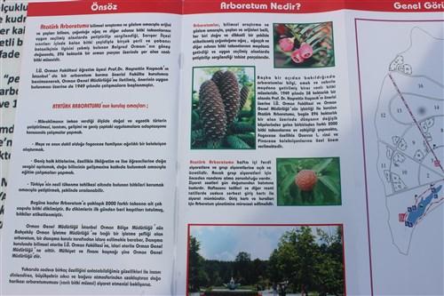 Benimle Birlikte Atatürk Arboretumu Gezisine Ne Dersin?