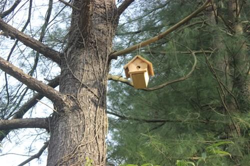 Benimle Birlikte Atatürk Arboretumu Gezisine Ne Dersin?