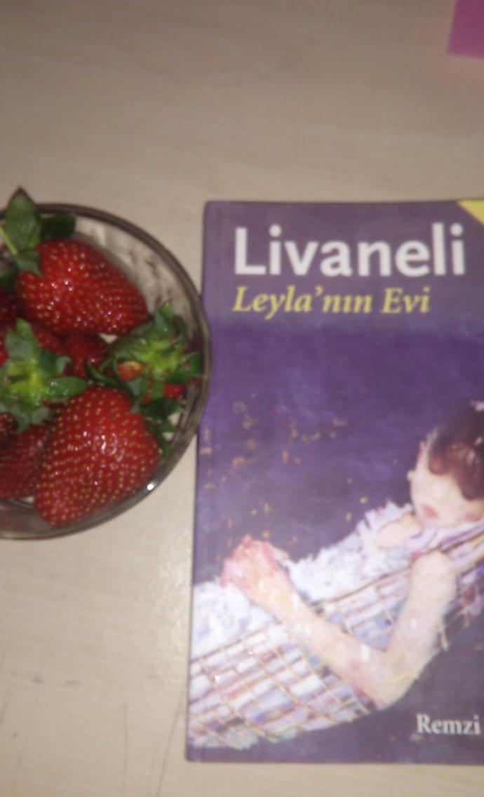 Kitap Severler İçin Kesinlikle Okuması Gereken Kitaplar Hangileri?