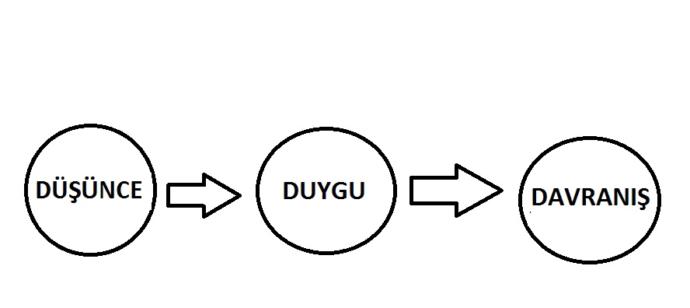 Kendi Tecrübemizi Kendimiz Yaratırız