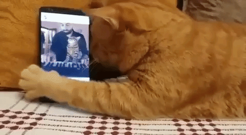Sosyal Medya Olmazsa Öleceğim Hastalığı!