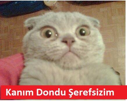 ''Yok Artık!'' Diyeceğiniz İlginç Ama Gerçek Cinsel Gelenekler Nelerdir?