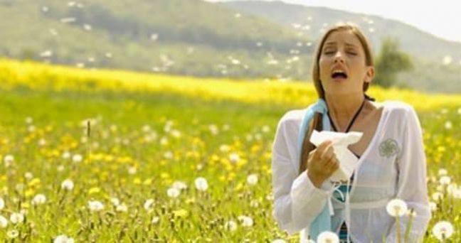 Baharın Habercisi Bahar Alerjisi Nedir?