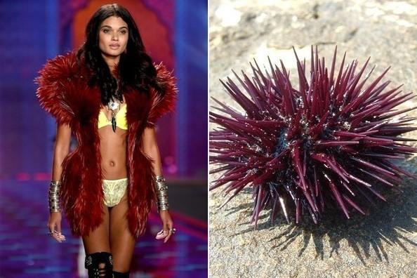 Victoria's Secret Mankenleri Bir Şeylere Benzetilseydi Nasıl Olurdu?
